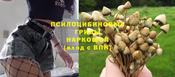 бутират Баксан