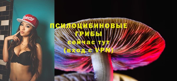 бутират Баксан